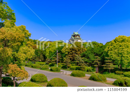 大阪城,位於大阪府大阪市大阪城公園內 大阪城,位於大阪府大阪市大阪城公園內 115804599