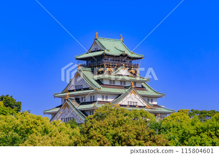 大阪城,位於大阪府大阪市大阪城公園內 大阪城,位於大阪府大阪市大阪城公園內 115804601