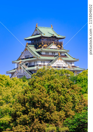 Osaka Castle in Osaka Castle Park, Osaka City, Osaka Prefecture Osaka Castle in Osaka Castle Park, Osaka City, Osaka Prefecture 115804602