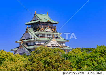 大阪城，位於大阪府大阪市大阪城公園內 115804603