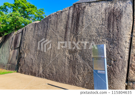 A huge rock (Takoishi) in Osaka Castle Park, Osaka City, Osaka Prefecture 115804635