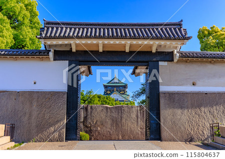 大阪府大阪市大阪城公園的大阪城和櫻花門 115804637