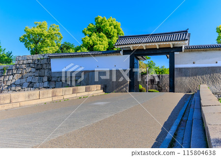 大阪府大阪市大阪城公園的大阪城和櫻花門 115804638