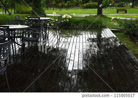 雨季。下雨的背景資料。 115805017