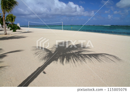 毛里求斯，印度洋上的貴婦，布拉班特半島海灘上棕櫚樹的影子，世界文化遺產莫納山腳下的度假小鎮 115805076