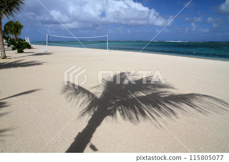 Mauritius, the Lady of the Indian Ocean. Palm trees on the beach of the Brabant Peninsula, a resort town at the foot of Mount Le Morne, a World Heritage Site. 115805077