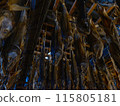 鮭魚拉 115805181