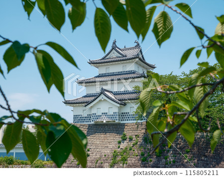 Shibata castle third floor toaster 115805211