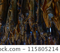 鮭魚拉 115805214