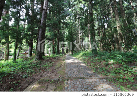 福島縣豬苗代町道津神社的新綠 福島縣豬苗代町道津神社的新綠 115805369