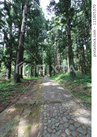 福島縣豬苗代町道津神社的新綠 福島縣豬苗代町道津神社的新綠 115805370