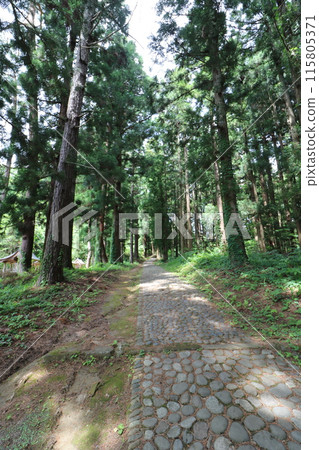 福島縣豬苗代町道津神社的新綠 115805371