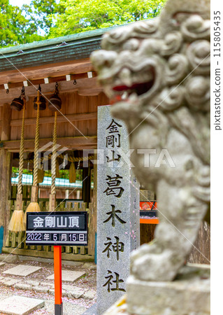 Kongo-san, a mountain famous for its flowers and rich nature (Takamano, Gose City, Nara Prefecture) *Please indicate the location of the photo in the comments section. 115805435