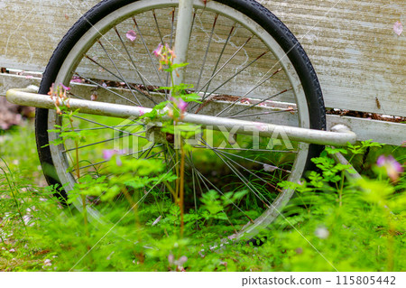 一輛埋在鮮花中的車 一輛埋在鮮花中的車 115805442