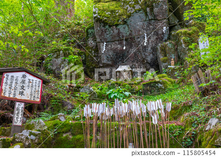 岩屋文殊（奈良縣御所市高天），金剛山的花卉名勝和豐富的自然風光 *照片位置見作品評論區 115805454