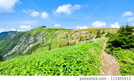 Utsukushigahara徒步旅行：阿爾卑斯山觀察路線 115805611