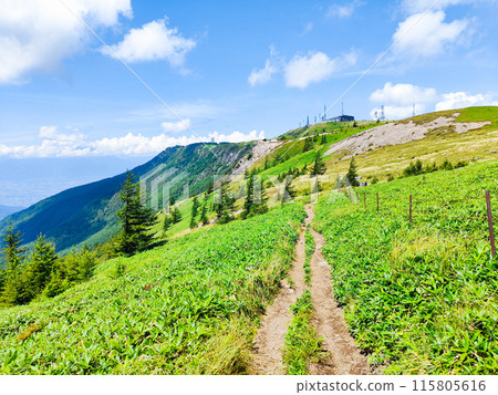 Utsukushigahara trekking: Alps observation course 115805616