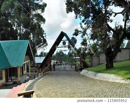 Climbing Mount Kilimanjaro: Machame Root Gate (2016) Climbing Mount Kilimanjaro: Machame Root Gate (2016) 115805952