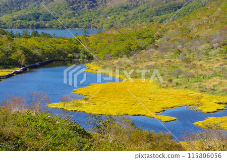 秋天的赤木山角滿淵 115806056