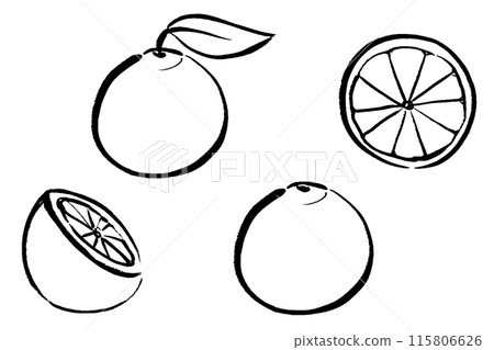 Brush-touch orange line drawing illustration set 115806626