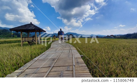tourists walk on wooden pier 115806749