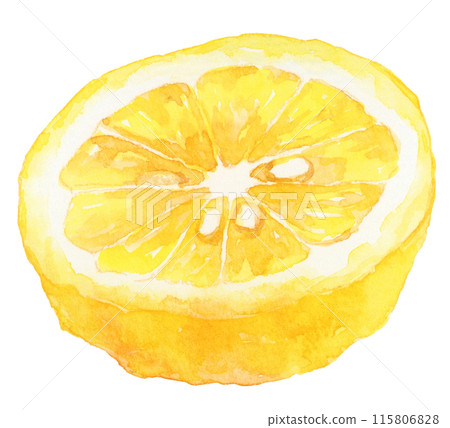 柚子水果切成兩半水彩插圖 柚子水果切成兩半水彩插圖 115806828