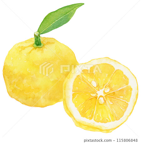 附葉柚子水彩插圖，2 件，附圓形水果 115806848