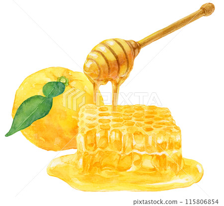 Watercolor illustration of yuzu with leaves and honey and honeycomb Watercolor illustration of yuzu with leaves and honey and honeycomb 115806854