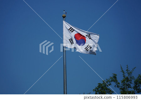 National flag of South Korea waving in the wind on blue sky background 115806993
