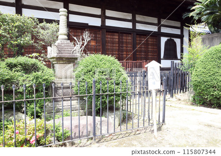 尾道光明寺散步(廣島縣尾道市) 尾道光明寺散步(廣島縣尾道市) 115807344