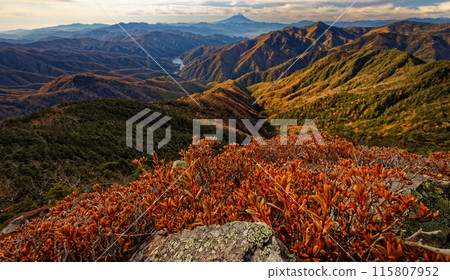 Autumn foliage on Mount Kobushin and Todo Ridge, and a view of Mount Fuji Autumn foliage on Mount Kobushin and Todo Ridge, and a view of Mount Fuji 115807952