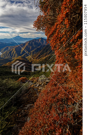 Autumn foliage on Mount Kobushin and Todo Ridge, and a view of Mount Fuji 115807954