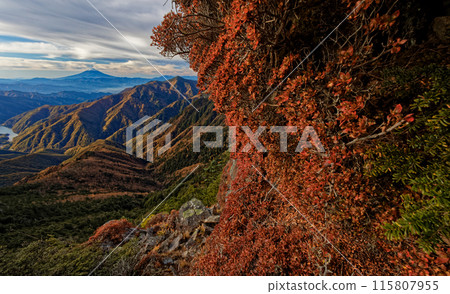 Autumn foliage on Mount Kobushin and Todo Ridge, and a view of Mount Fuji 115807955