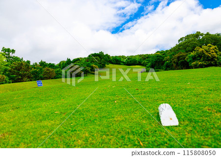 Golf course under the blue sky: Straight long course and teeing area (Futtsu, Chiba Prefecture) 115808050
