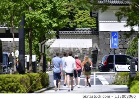 日本東京城市景觀入境復興...東京擠滿了外國遊客...前往大手門的外國遊客=6月 115808060