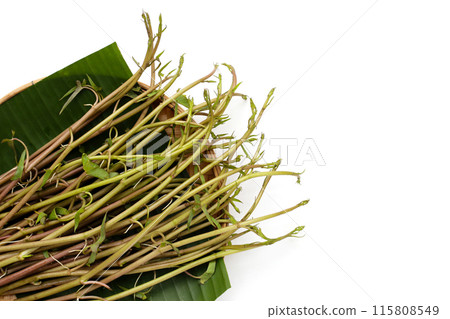 Water convolvulus or water spinach on white background. 115808549