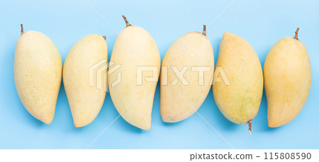 Tropical fruit, Mango on blue background. Top view Tropical fruit, Mango on blue background. Top view 115808590