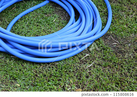 Garden hose for watering plants Garden hose for watering plants 115808616
