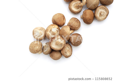 Fresh shiitake mushrooms on white background. 115808652