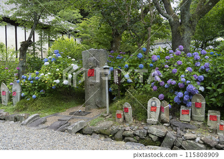 Miso-licking Jizo at Yatadera Temple (Nara Prefecture) Miso-licking Jizo at Yatadera Temple (Nara Prefecture) 115808909