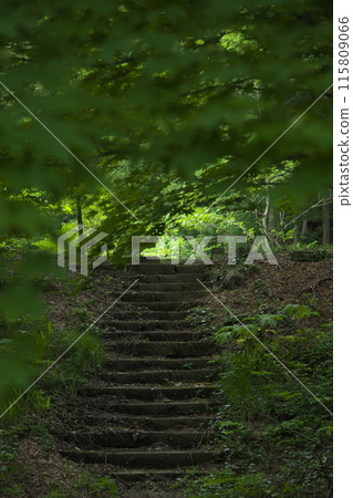 舊路 舊路 115809066