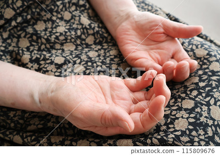 老婦人的手放在腿上 老婦人的手放在腿上 115809676