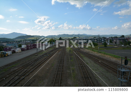 A local train that reminds me of home 115809800