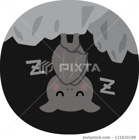 Bats hanging from the ceiling of a cave 115810199