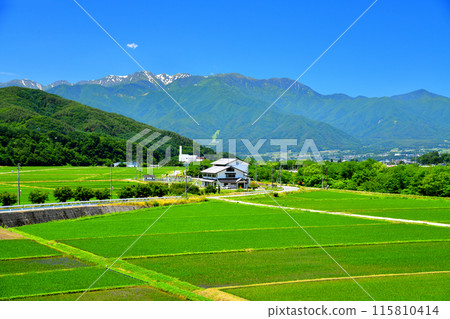 View of Mt. Kisokoma from Shimoyamada, Takato-cho, Ina City, Nagano Prefecture (Ina City, Nagano Prefecture) [2024.6] 115810414