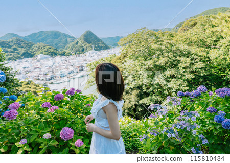 [Shimoda Hydrangea Festival] Shimoda cityscape as seen from a hill full of blooming hydrangeas 115810484