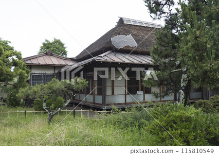 萬代音樂廳的初夏 115810549