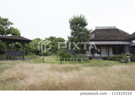 萬代音樂廳的初夏 115810550