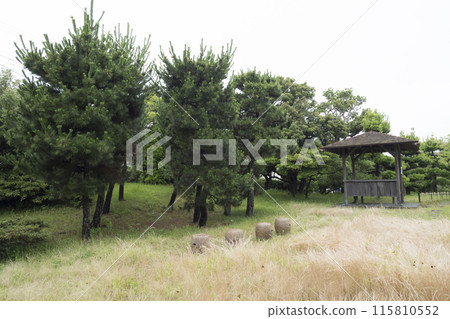 萬代音樂廳的初夏 115810552