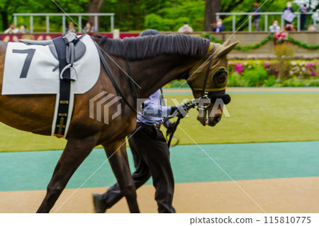 札幌賽馬場圍場 115810775